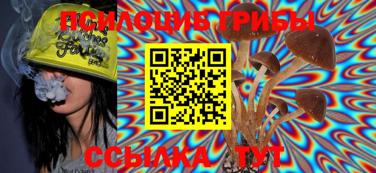 Псилоцибиновые грибы Cubensis Зеленокумск