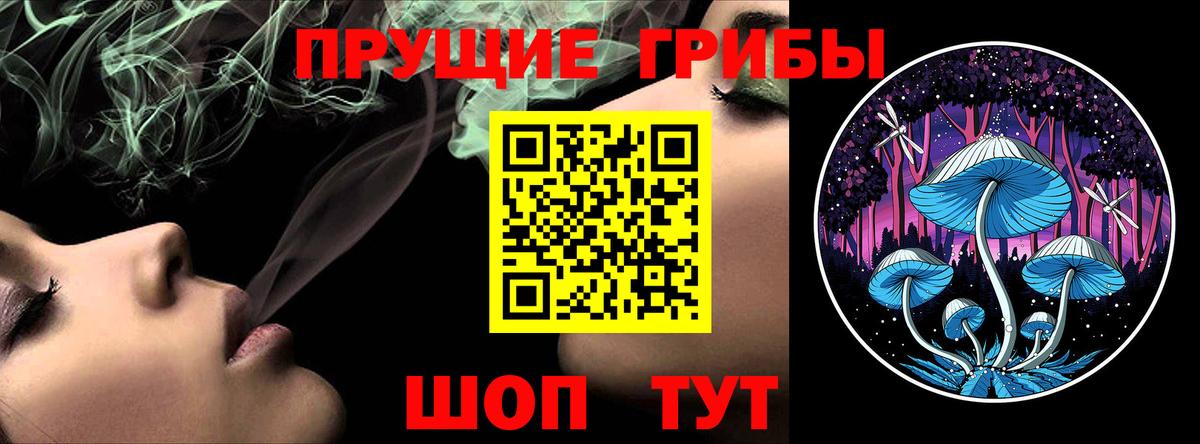 Псилоцибиновые грибы Psilocybe  купить  сайты  Зеленокумск  Вход с VPN 